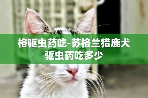 格驅蟲藥吃-蘇格蘭獵鹿犬驅蟲藥吃多少