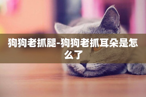 狗狗老抓腿-狗狗老抓耳朵是怎么了
