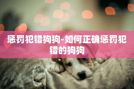 懲罰犯錯狗狗-如何正確懲罰犯錯的狗狗