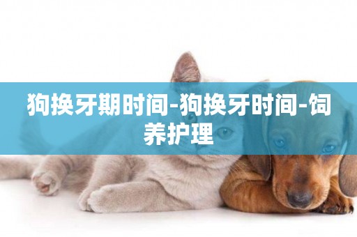 狗換牙期時間-狗換牙時間-飼養護理
