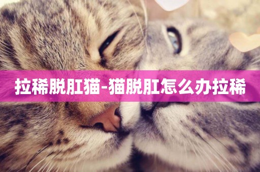 拉稀脫肛貓-貓脫肛怎么辦拉稀