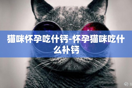 貓咪懷孕吃什鈣-懷孕貓咪吃什么補鈣