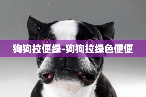 狗狗拉便綠-狗狗拉綠色便便