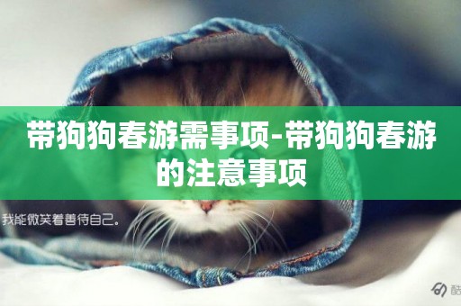帶狗狗春游需事項-帶狗狗春游的注意事項