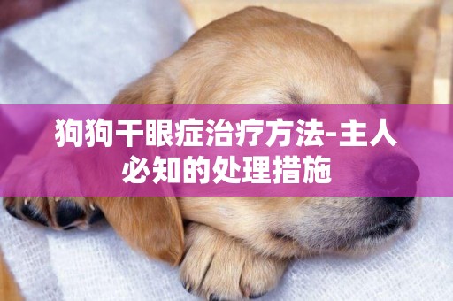 狗狗干眼癥治療方法-主人必知的處理措施