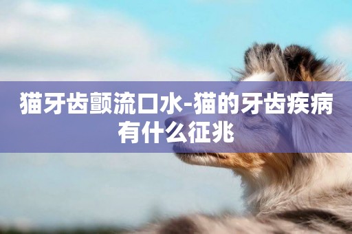 貓牙齒顫流口水-貓的牙齒疾病有什么征兆