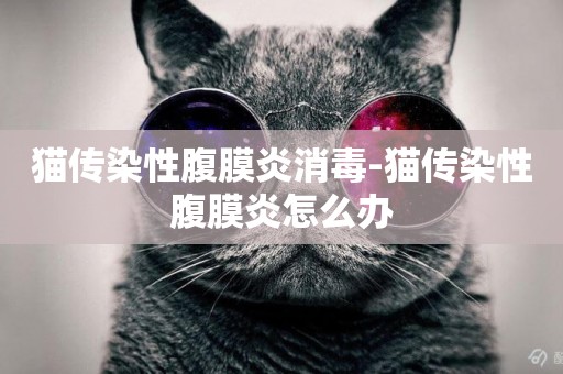 貓傳染性腹膜炎消毒-貓傳染性腹膜炎怎么辦