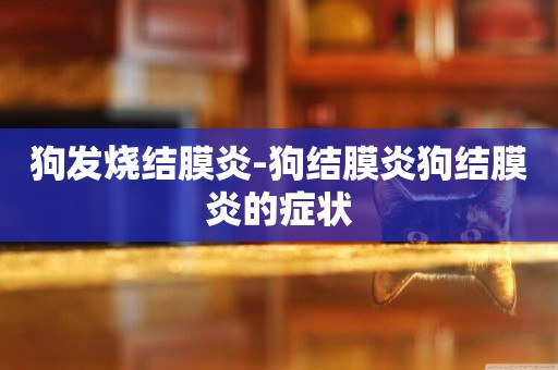 狗發燒結膜炎-狗結膜炎狗結膜炎的癥狀