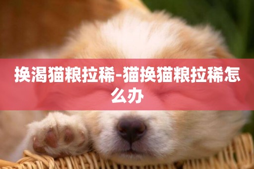 換渴貓糧拉稀-貓換貓糧拉稀怎么辦