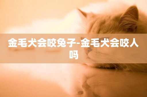 金毛犬會咬兔子-金毛犬會咬人嗎