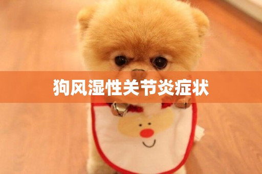 狗風濕性關節炎癥狀
