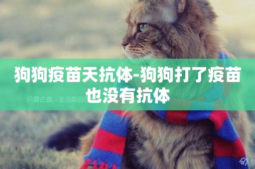 狗狗疫苗天抗體-狗狗打了疫苗也沒有抗體
