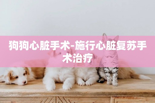 狗狗心臟手術-施行心臟復蘇手術治療