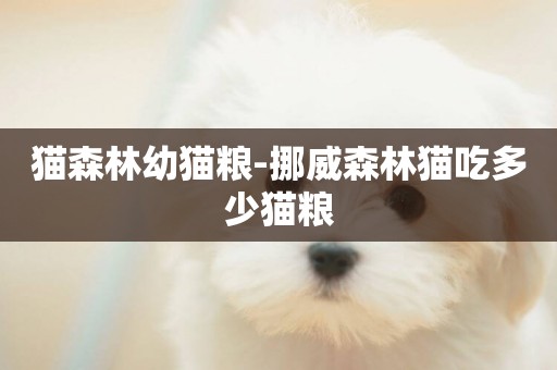 貓森林幼貓糧-挪威森林貓吃多少貓糧