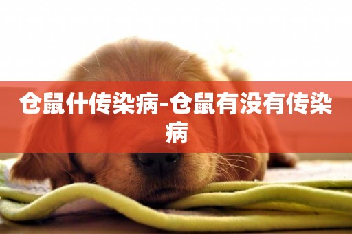 倉鼠什傳染病-倉鼠有沒有傳染病