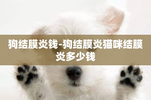 狗結膜炎錢-狗結膜炎貓咪結膜炎多少錢