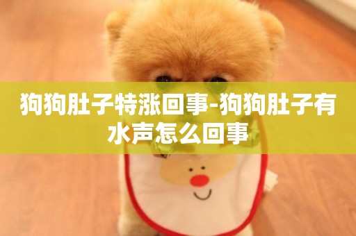 狗狗肚子特漲回事-狗狗肚子有水聲怎么回事