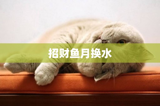 招財魚月換水