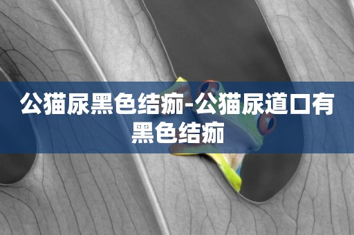 公貓尿黑色結痂-公貓尿道口有黑色結痂