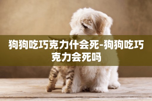 狗狗吃巧克力什會死-狗狗吃巧克力會死嗎