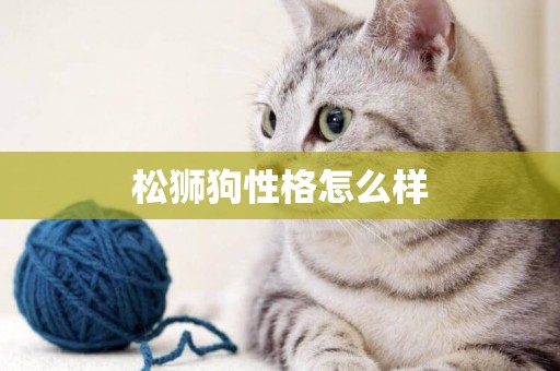 松獅狗性格怎么樣