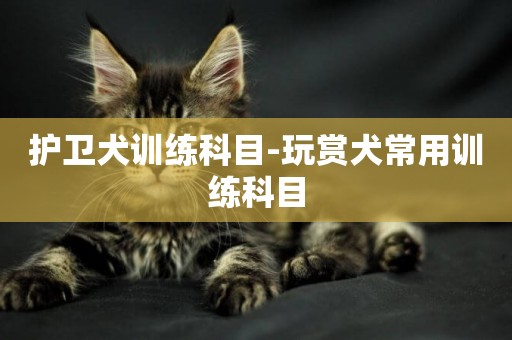 護衛犬訓練科目-玩賞犬常用訓練科目