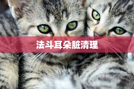 法斗耳朵臟清理