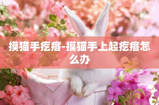 摸貓手疙瘩-摸貓手上起疙瘩怎么辦