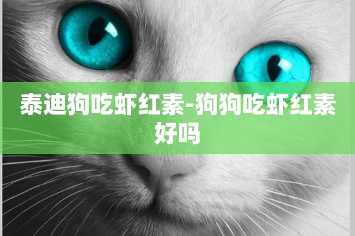 泰迪狗吃蝦紅素-狗狗吃蝦紅素好嗎