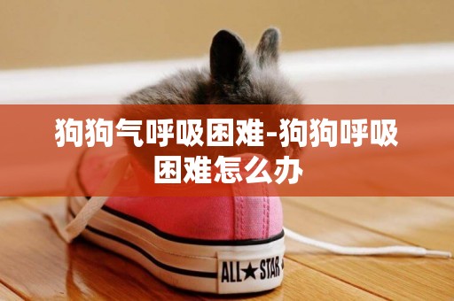 狗狗氣呼吸困難-狗狗呼吸困難怎么辦