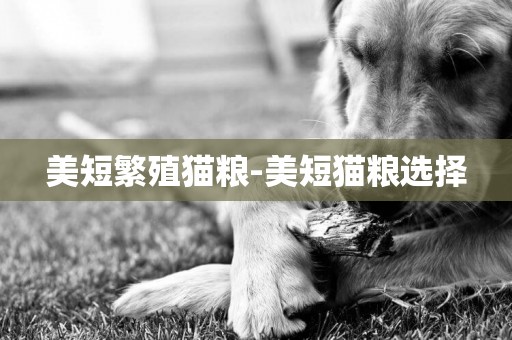 美短繁殖貓糧-美短貓糧選擇