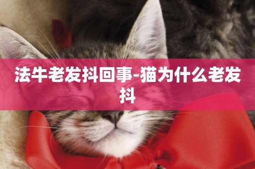 法牛老發抖回事-貓為什么老發抖