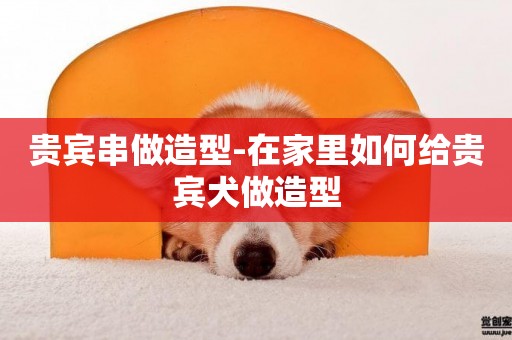 貴賓串做造型-在家里如何給貴賓犬做造型