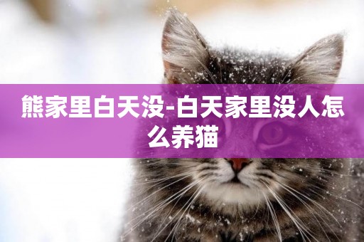 熊家里白天沒-白天家里沒人怎么養貓