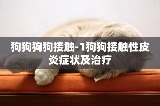 狗狗狗狗接觸-1狗狗接觸性皮炎癥狀及治療