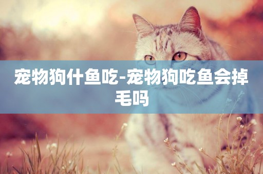 寵物狗什魚吃-寵物狗吃魚會掉毛嗎