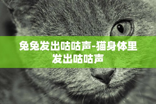 兔兔發出咕咕聲-貓身體里發出咕咕聲