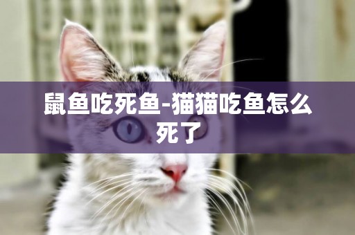 鼠魚吃死魚-貓貓吃魚怎么死了