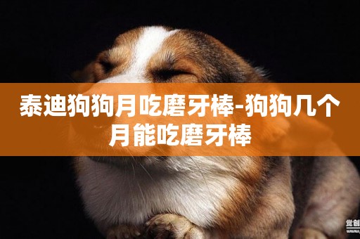 泰迪狗狗月吃磨牙棒-狗狗幾個月能吃磨牙棒