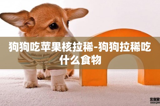 狗狗吃蘋果核拉稀-狗狗拉稀吃什么食物