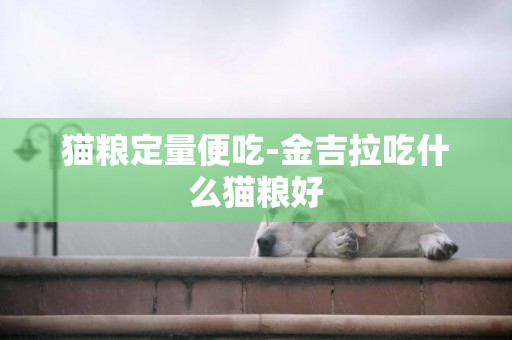 貓糧定量便吃-金吉拉吃什么貓糧好