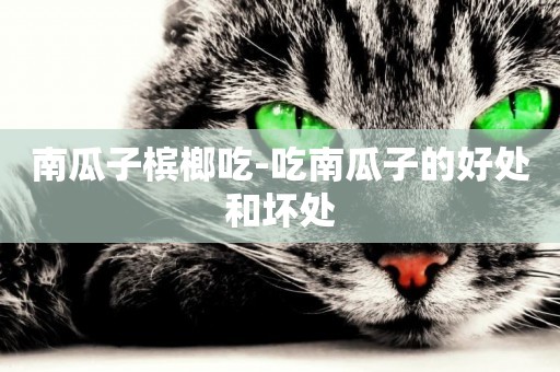 南瓜子檳榔吃-吃南瓜子的好處和壞處