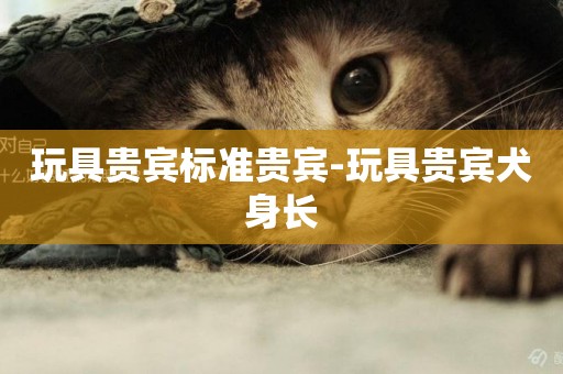 玩具貴賓標準貴賓-玩具貴賓犬身長