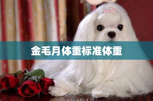 金毛月體重標準體重