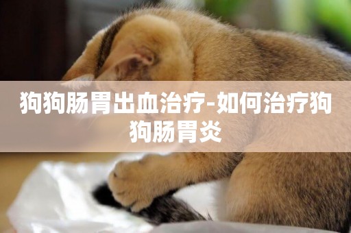 狗狗腸胃出血治療-如何治療狗狗腸胃炎