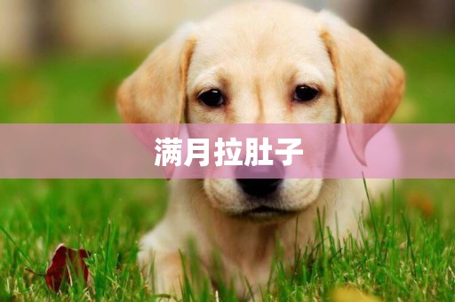 滿月拉肚子