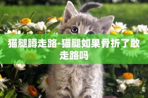 貓腿蹲走路-貓腿如果骨折了敢走路嗎