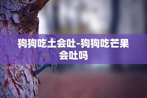 狗狗吃土會吐-狗狗吃芒果會吐嗎
