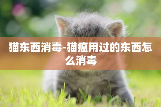 貓東西消毒-貓瘟用過的東西怎么消毒