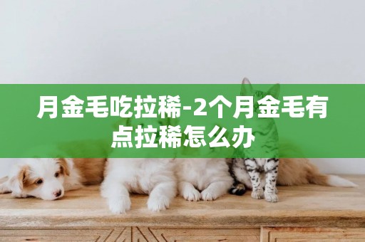 月金毛吃拉稀-2個月金毛有點拉稀怎么辦